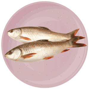 Fish A plate of cooked fish