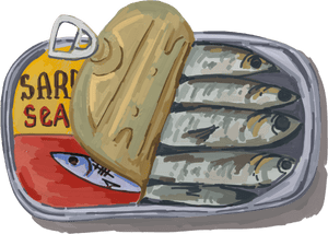 Sardines A can of sardines